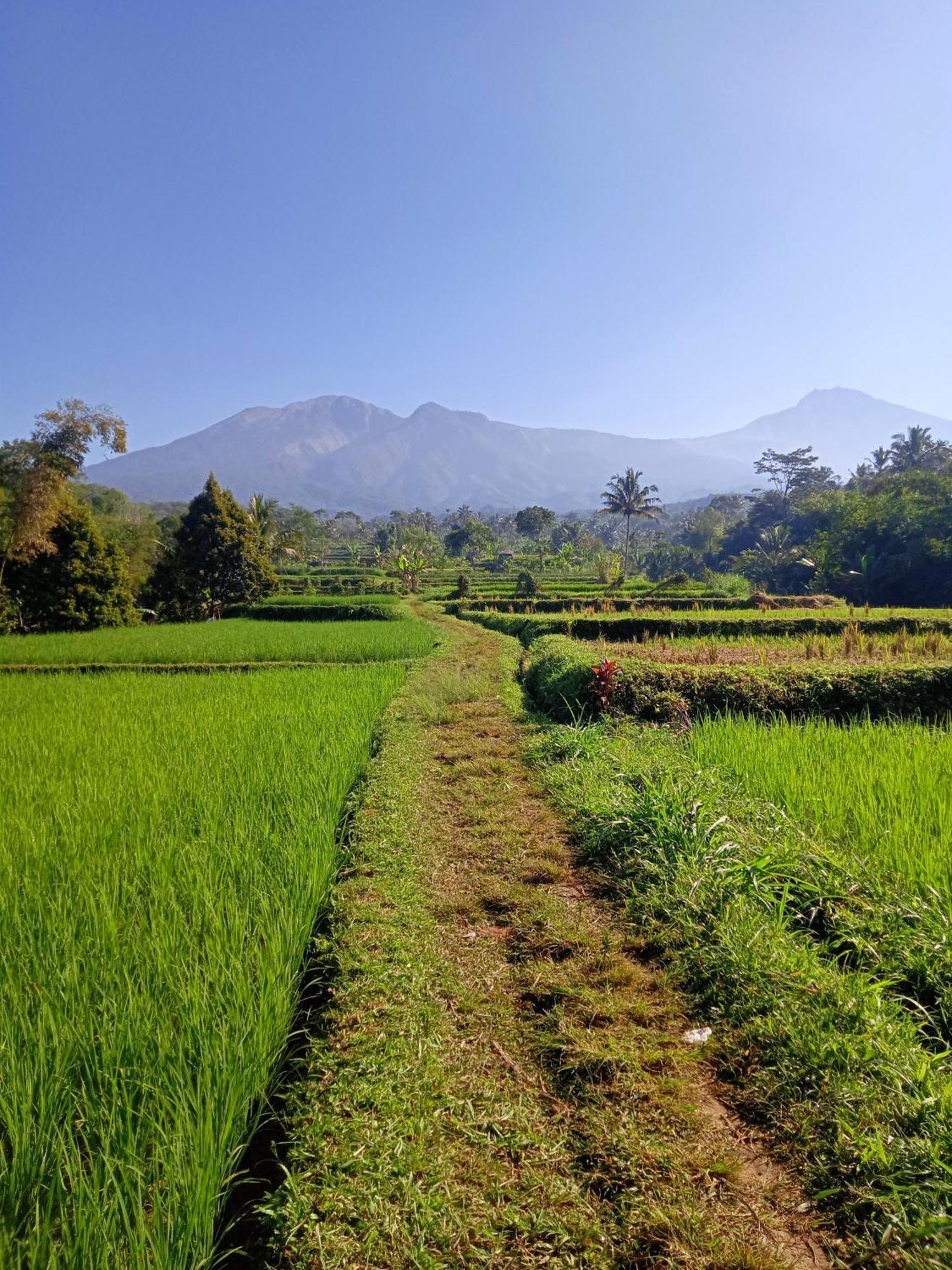 Tetebatu Sunrise Homestay Exterior photo